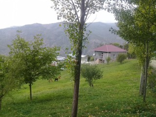 Lahıcda (ismayıllı) kupçalı torpaq satılır