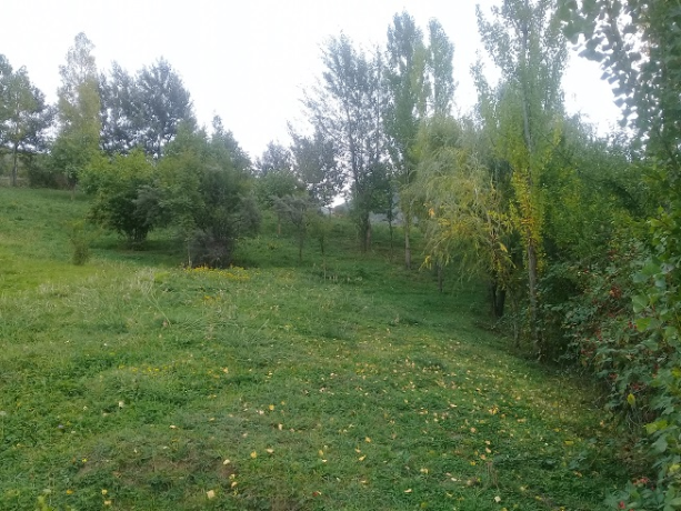 lahicda-ismayilli-kupcali-torpaq-satilir-big-3