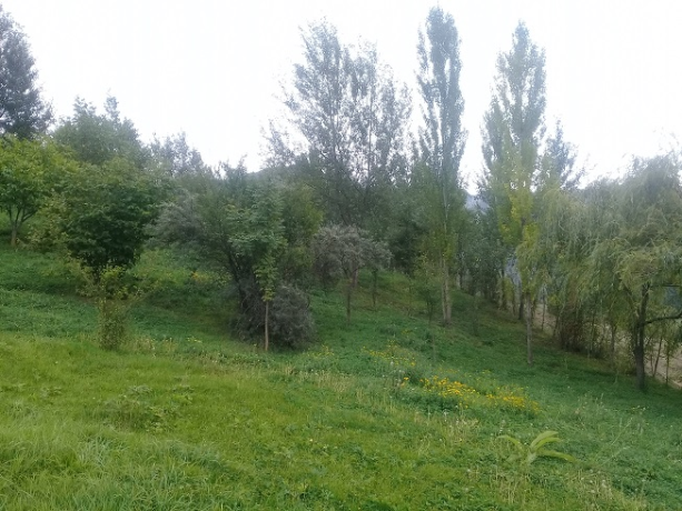 lahicda-ismayilli-kupcali-torpaq-satilir-big-4