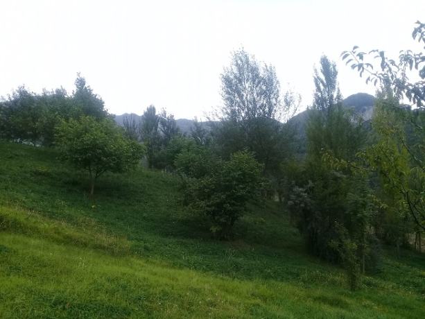 lahicda-ismayilli-kupcali-torpaq-satilir-big-1