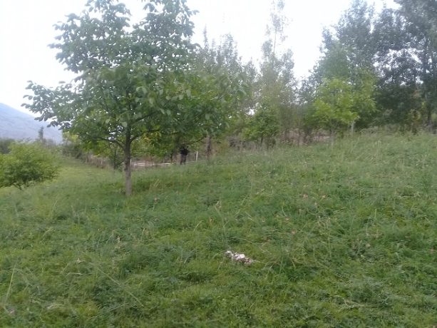 lahicda-ismayilli-kupcali-torpaq-satilir-big-11