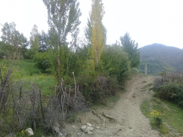 lahicda-ismayilli-kupcali-torpaq-satilir-big-2