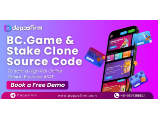 Enter the Crypto Casino Market with Proven BC.Game & Stake Clone Scripts