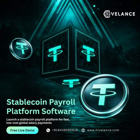 stablecoin-payroll-platform-software-launch-payroll-system-in-10-days-big-0