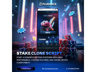 Secure & Customizable Stake Clone Script for Blockchain Casino Businesses
