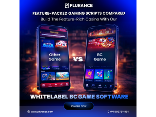 Launch a Profitable Crypto Casino with Our BC Game Clone Platform