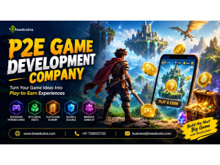 Immersive P2E Game Development Company for Next-Gen Web3 Experiences