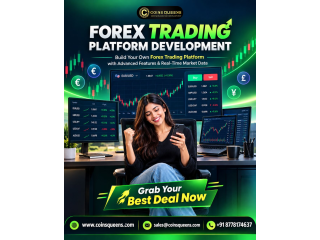 Crypto Forex Trading Platform Development Year-End Special Offer