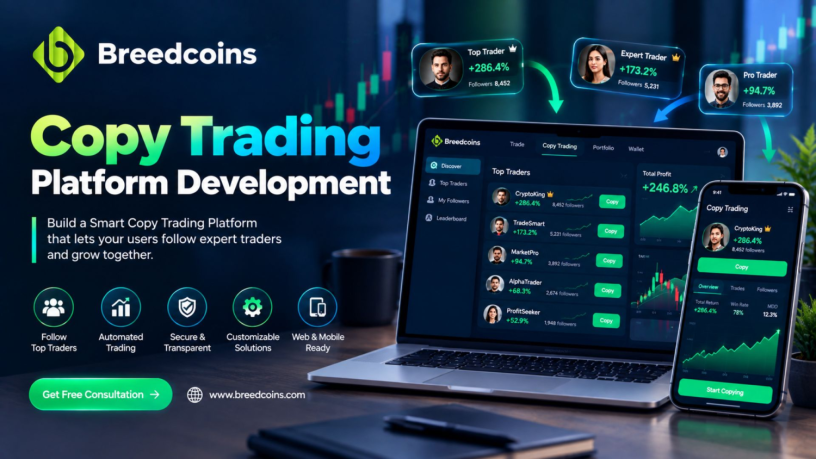 simplify-strategy-following-with-copy-trading-platform-development-big-0