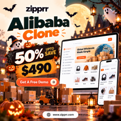 can-zipprr-help-start-a-b2b-marketplace-for-490-big-0